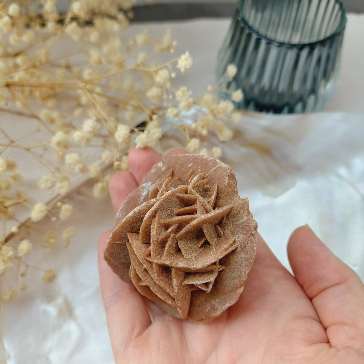 Rose des sables