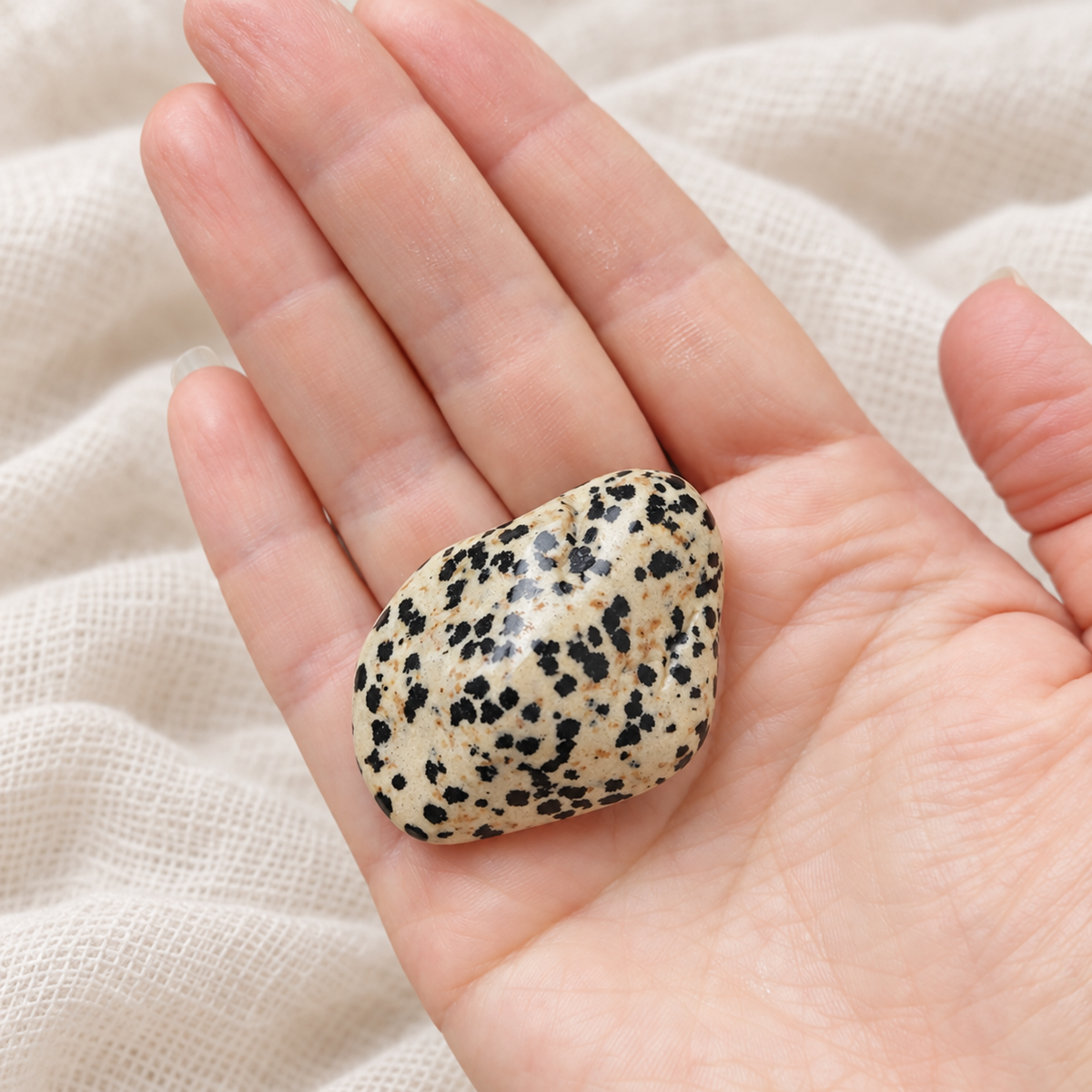 Jaspe dalmatien roulée