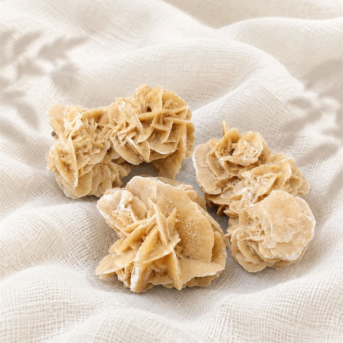 Rose des sables